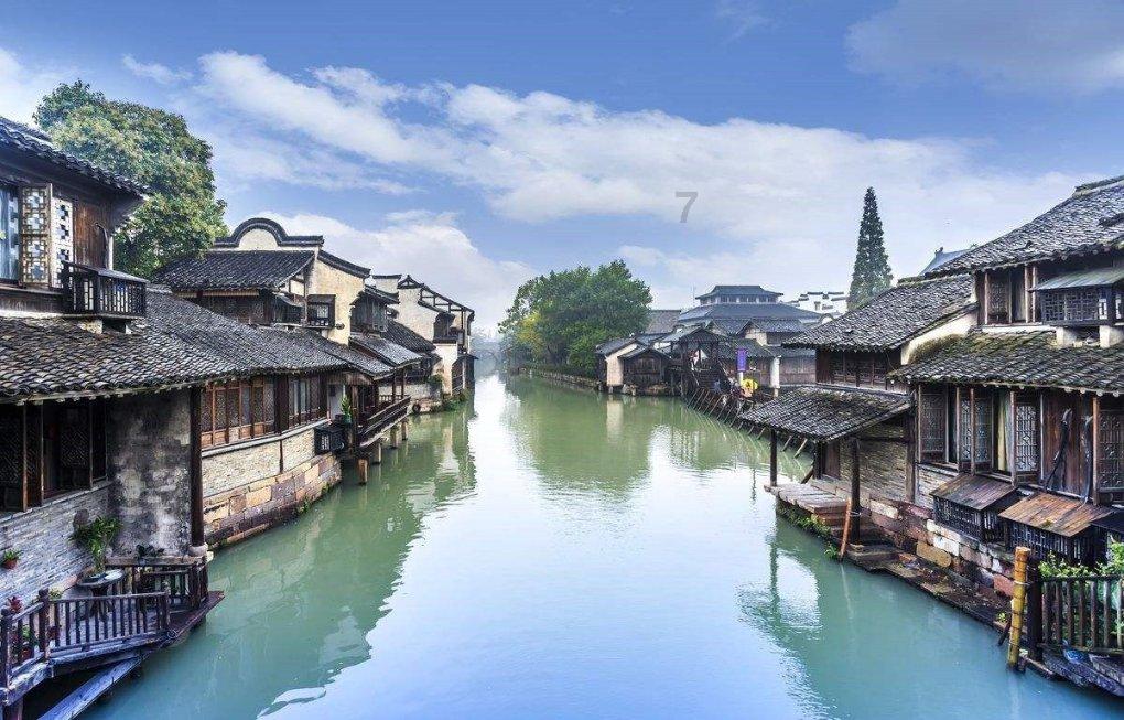 泡沫森林
